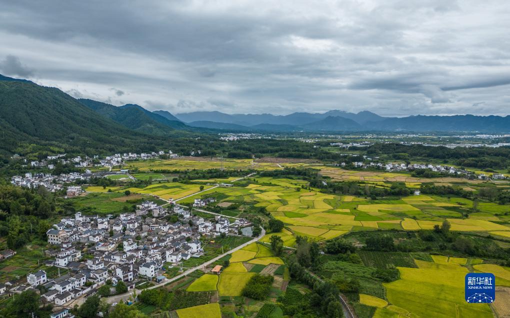 冰球突破摆脱大奖截图